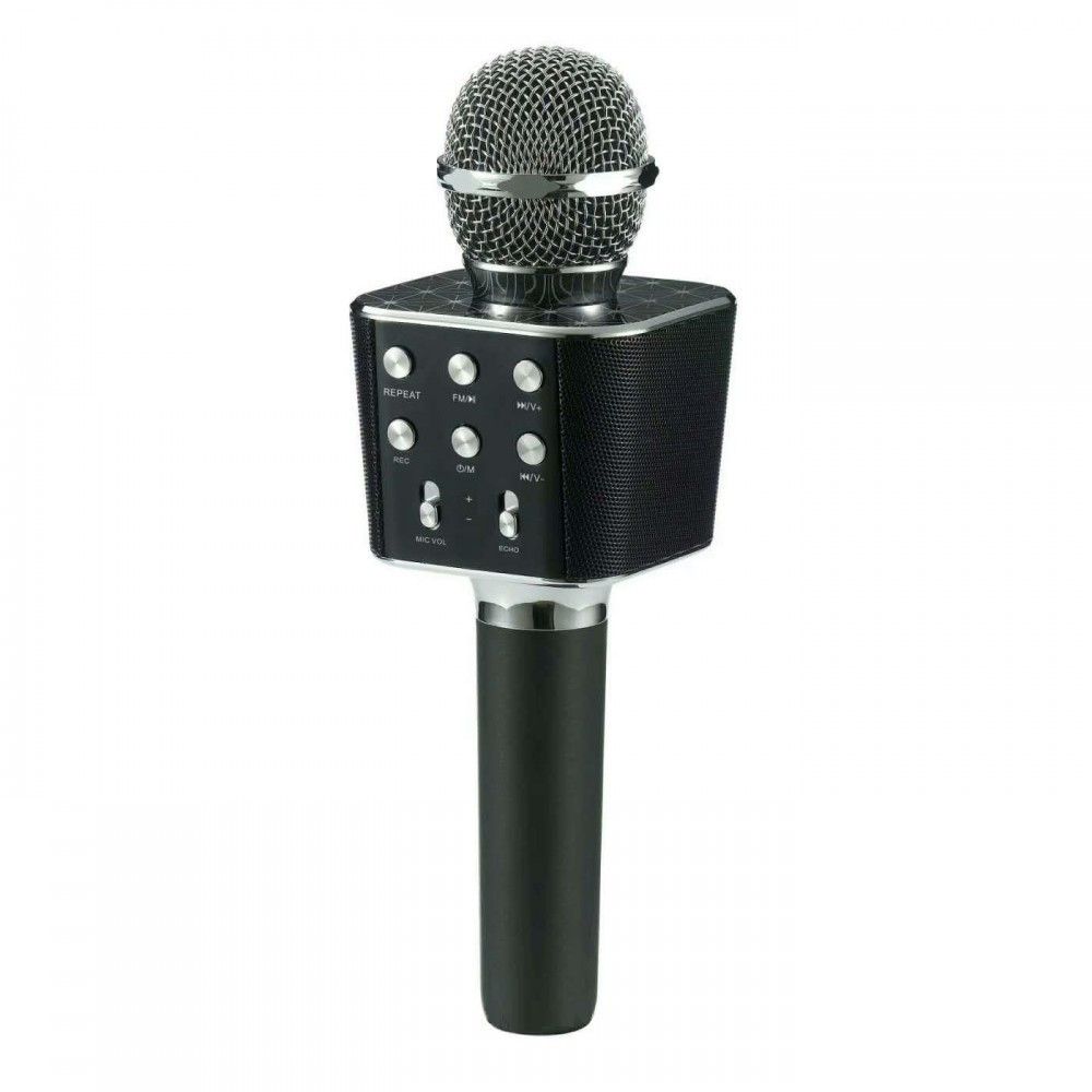Микрофон DM Karaoke WS1688