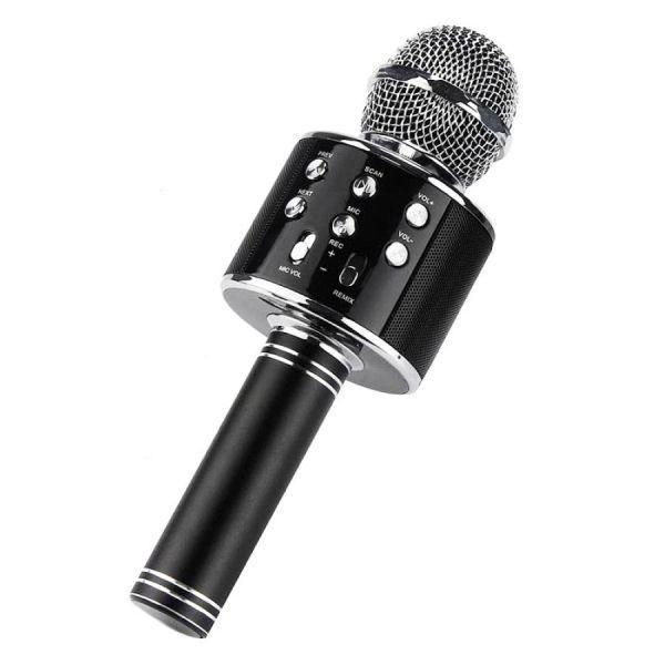 Микрофон DM Karaoke WS858 Black + чехол