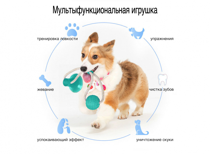 Игрушка для собак на присоске Dog Toy Rope PULL, Игрушка для домашних животных, Игрушка мячик для собак