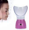 Паровая сауна для лица 2 в 1 Professional Facial Steamer BY-1078 Распариватель с ионизатором