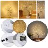 Декоративный ночник дерево настольный светильник Bonsai led tree light h20in N1 Декоративное светодиодное многофункциональное дерево от USB или 3AA,  эстетичное и универсальное освещение для вашего пространства
