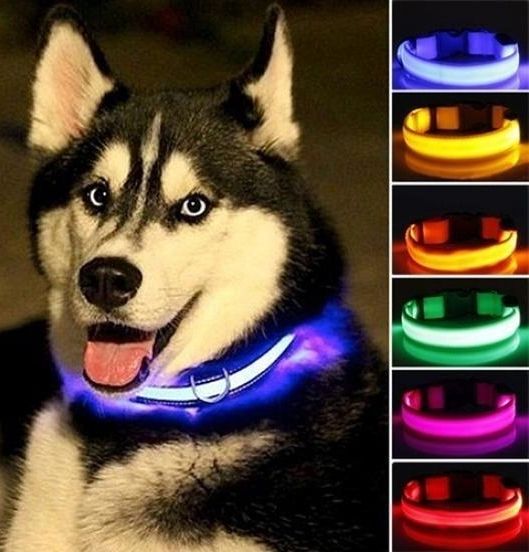Светящийся ошейник для собак на аккумуляторе USB GLOW RING, Led маячок для животных кошек и собак