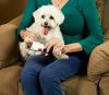 Триммер для стрижки когтей животных Paw Perfect Беспроводной