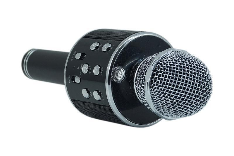 Микрофон DM Karaoke WS858 Black + чехол