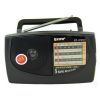 Радиоприемник Kipo 308 AC