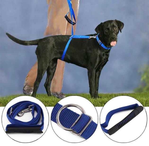 Высококачественный плотный прочный Поводок нейлоновый Для Собак The Instant Trainer Leash более 30 кг подходит для любых собачек с удобной резиновой ручкой  1.80 м гуманный поводок для дрессировок  и выгула