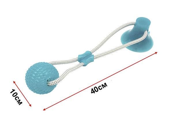 Игрушка для собак на присоске Dog Toy Rope PULL, Игрушка для домашних животных, Игрушка мячик для собак