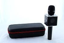 Микрофон DM Karaoke WS858 Black + чехол