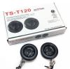Автомобильный динамик пищалки Tweetor TS-120 500W