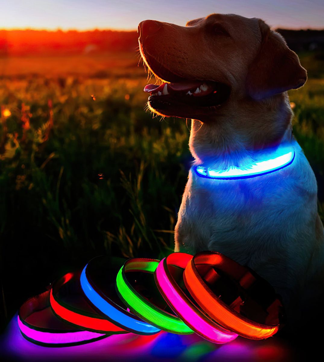 Светящийся ошейник для собак на аккумуляторе USB GLOW RING, Led маячок для животных кошек и собак