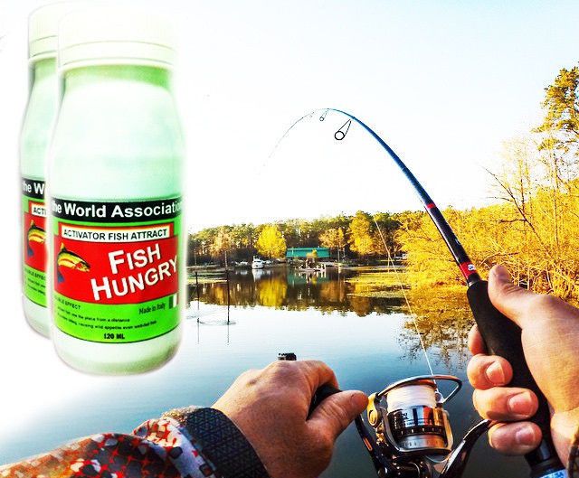 Активатор клева Fish Hungry, прикормка для рыбы