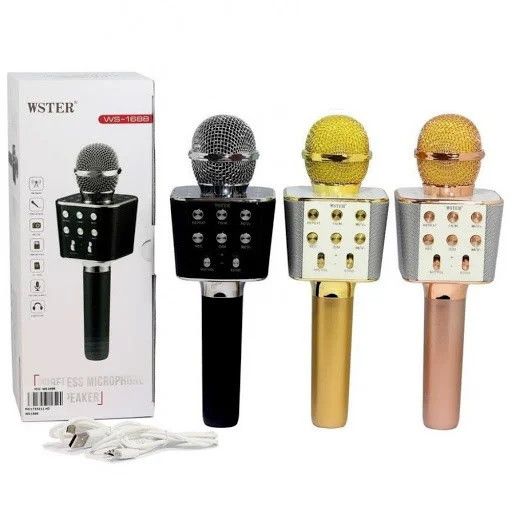 Микрофон DM Karaoke WS1688