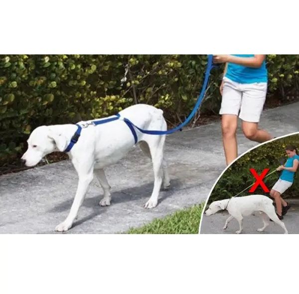 Высококачественный плотный прочный Поводок нейлоновый Для Собак The Instant Trainer Leash более 30 кг подходит для любых собачек с удобной резиновой ручкой  1.80 м гуманный поводок для дрессировок  и выгула
