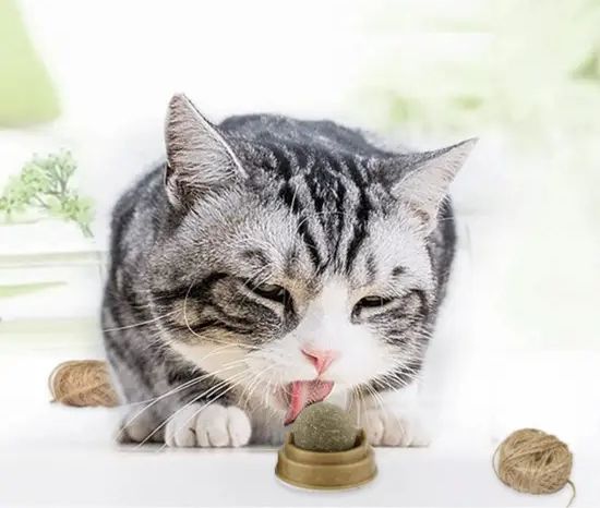 Кошачий мятный шарик игрушка, мятный леденец, конфета для кошек, Лизун для кота на липучке, кошачий мятный-шарик